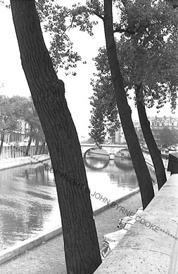 Trees by the Seine