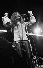 Janis Triumphant